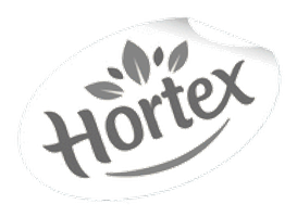Logo klienta Media Forum